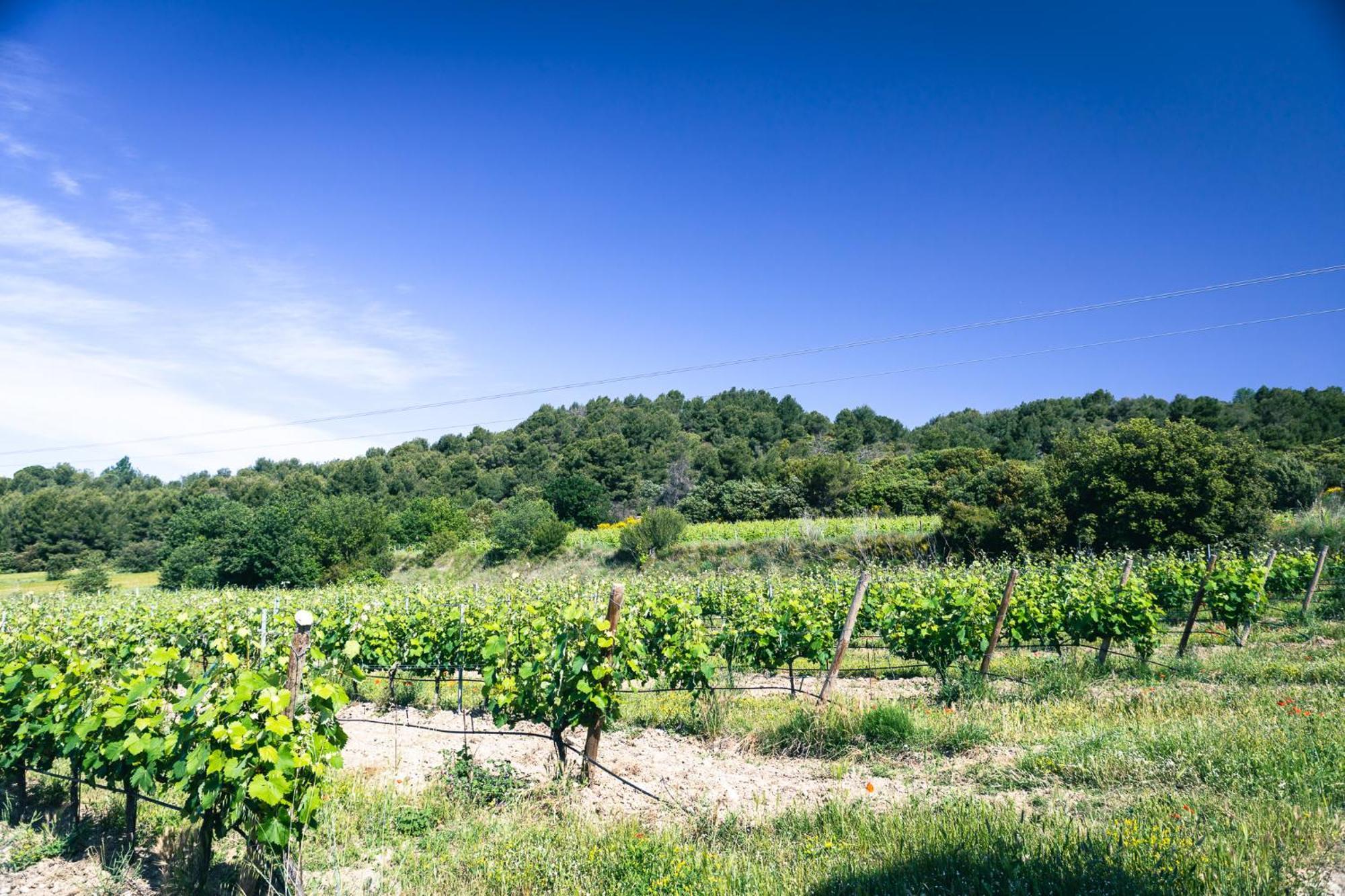 Domaine Des Peyre Apartamento Robion en Luberon Exterior foto