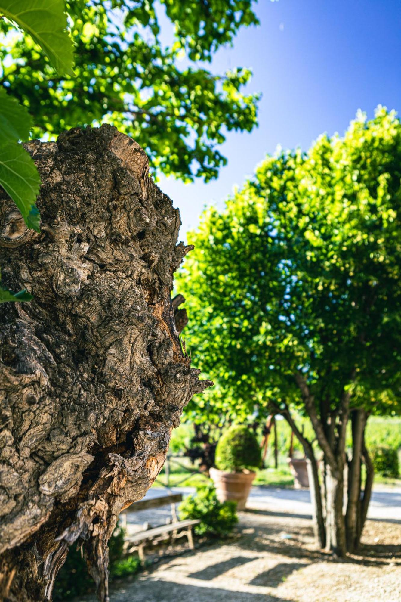 Domaine Des Peyre Apartamento Robion en Luberon Exterior foto